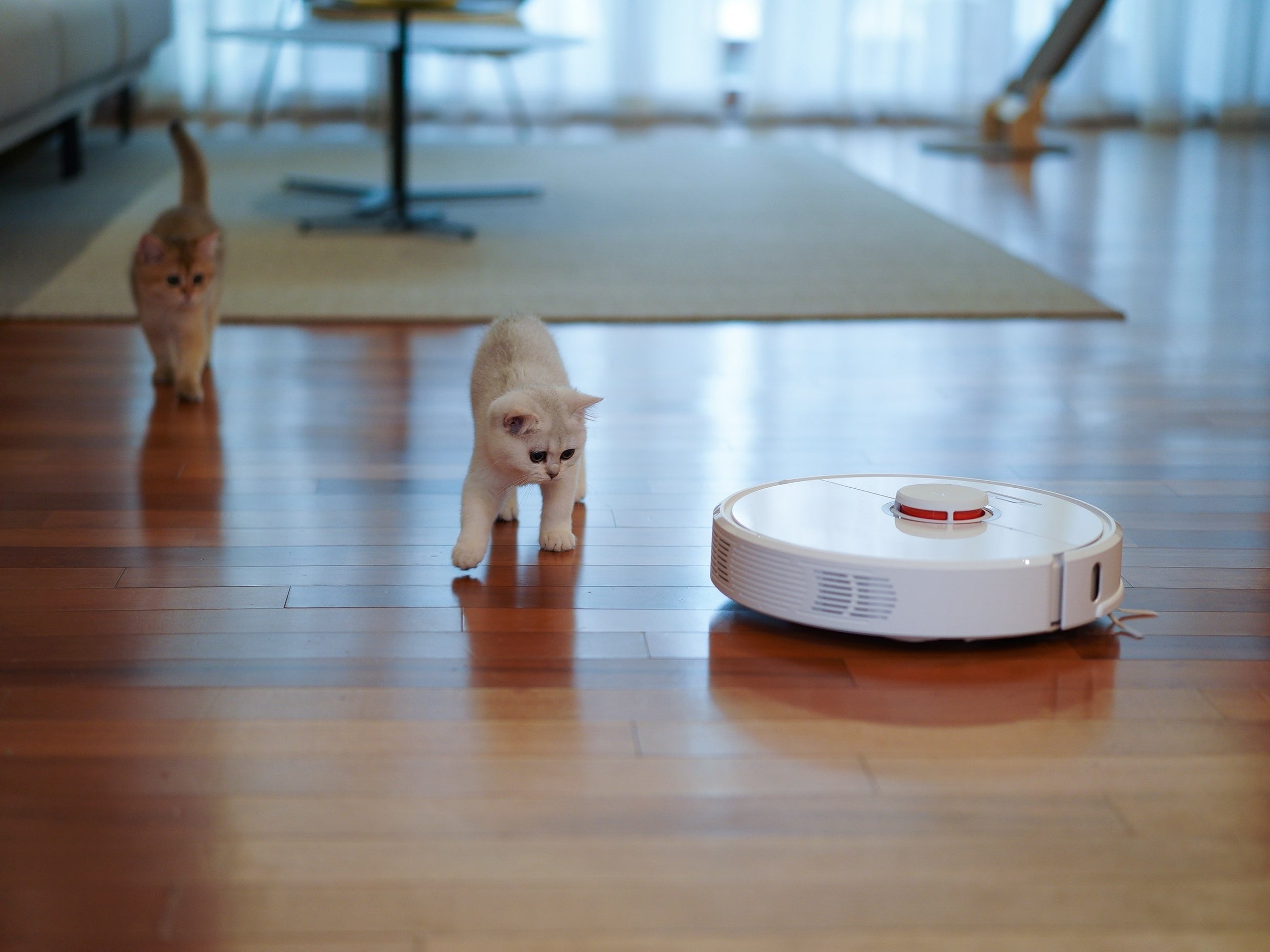 ASPIRADORA ROBOT